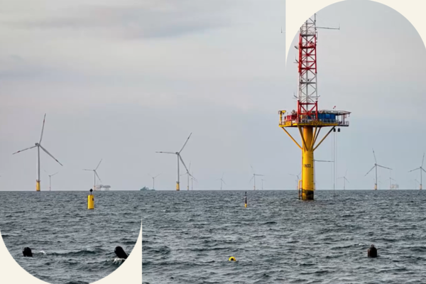 Offshore Windenergie